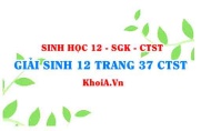 Giải Sinh 12 trang 37 Chân trời Sáng tạo